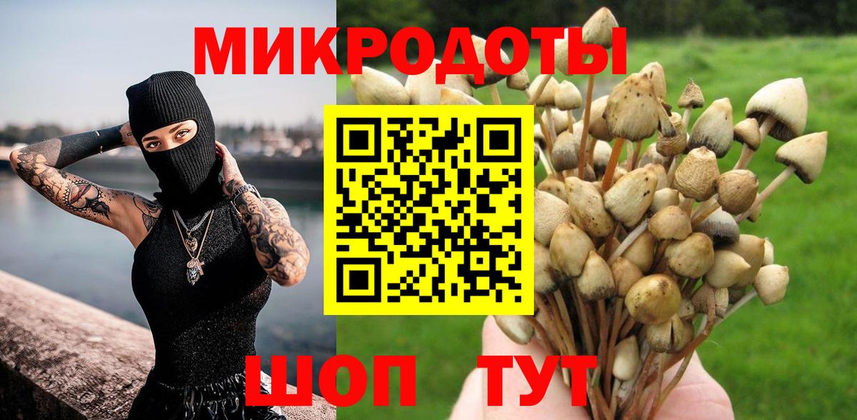 Галлюциногенные грибы мицелий  Псилоцибиновые грибы мухоморы  Вход с VPN  Кызыл 